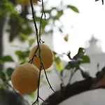 Casa Frea Dimora Storica 4* Martano