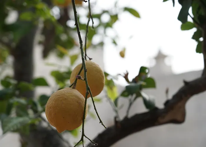 Casa Frea Dimora Storica 4* Martano